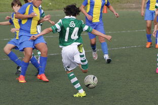 开云体育下载-体育纪录片内容更加丰富，体育纪录片主题